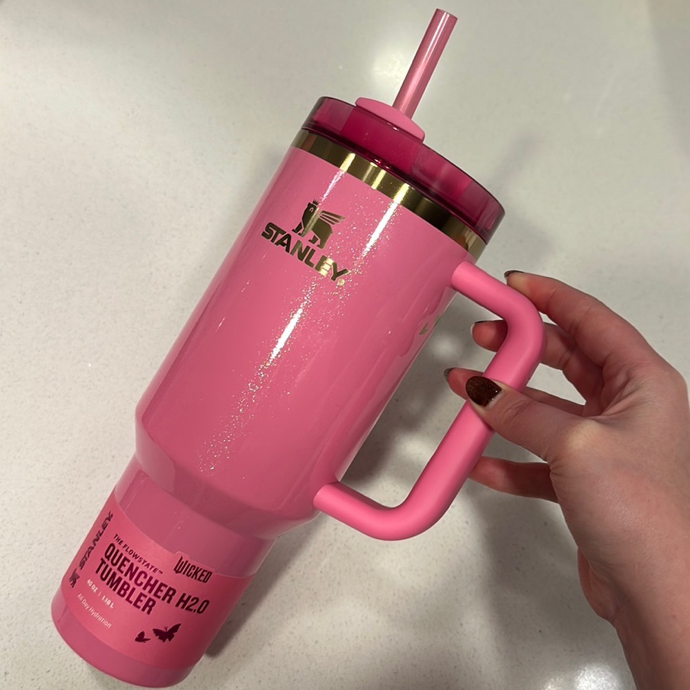Limited Edition Stanley X Wicked cup (40 oz). Brand new - never been used!